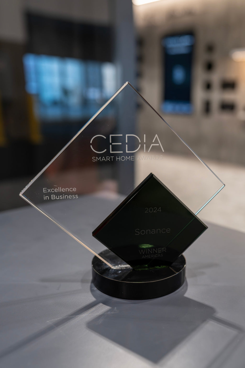 CEDIA Excellence in Business