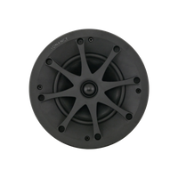 VPXT6R SST OUTDOOR EXTREME MEDIUM ROUND IN-CEILING SINGLE STEREO SPEAKER (1 EACH)