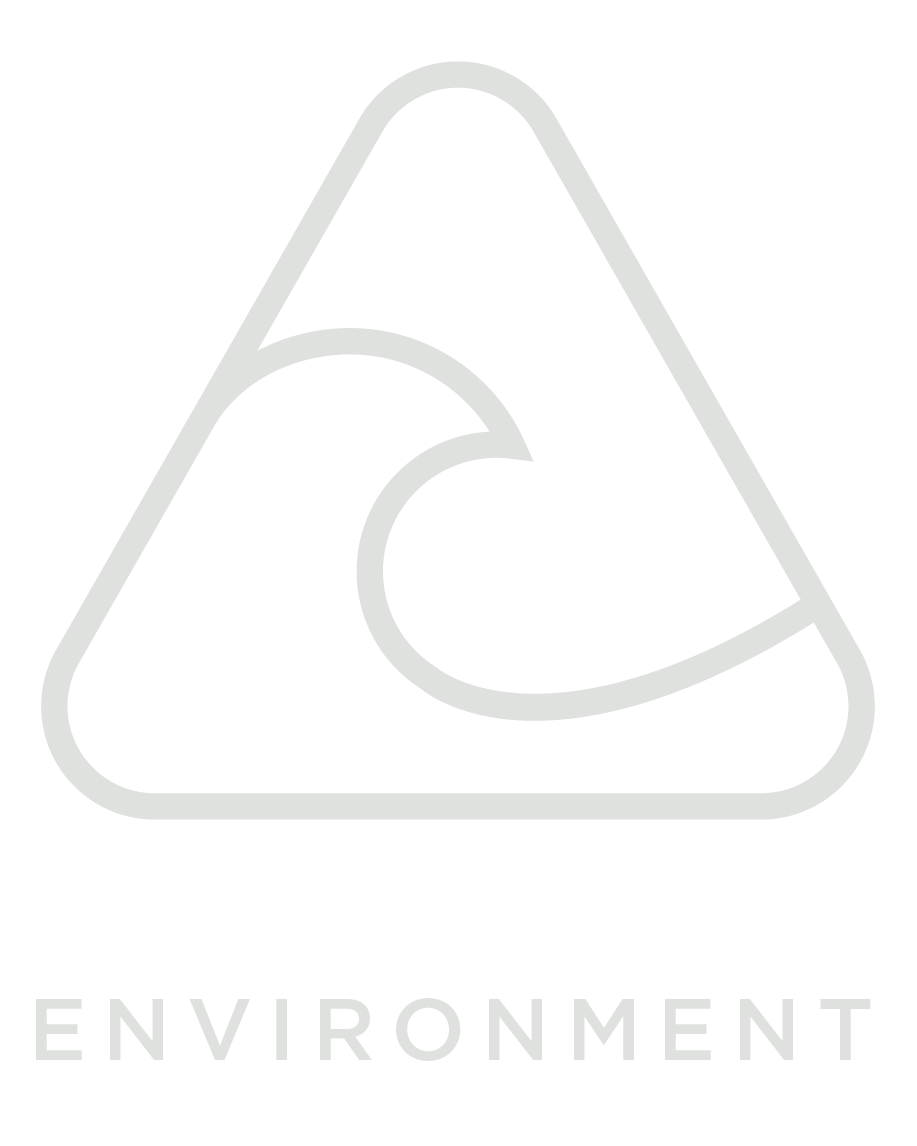 Environment icon