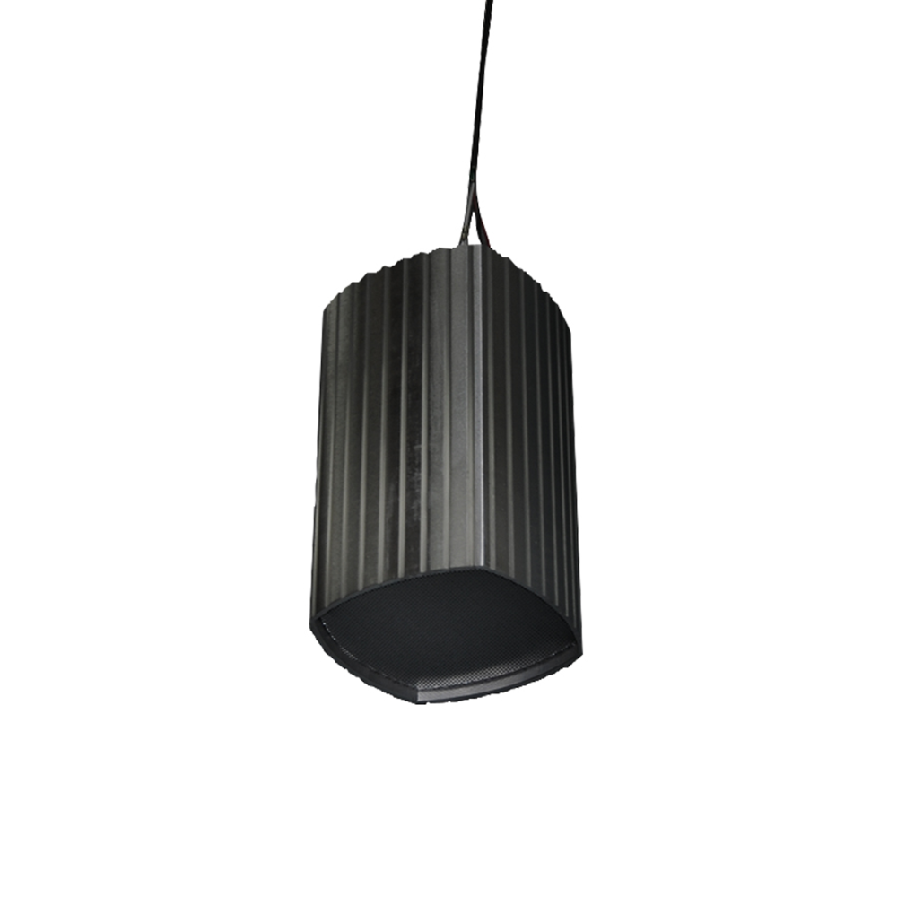 PD62 KIT | 6.5" 2-WAY PENDANT SPEAKER