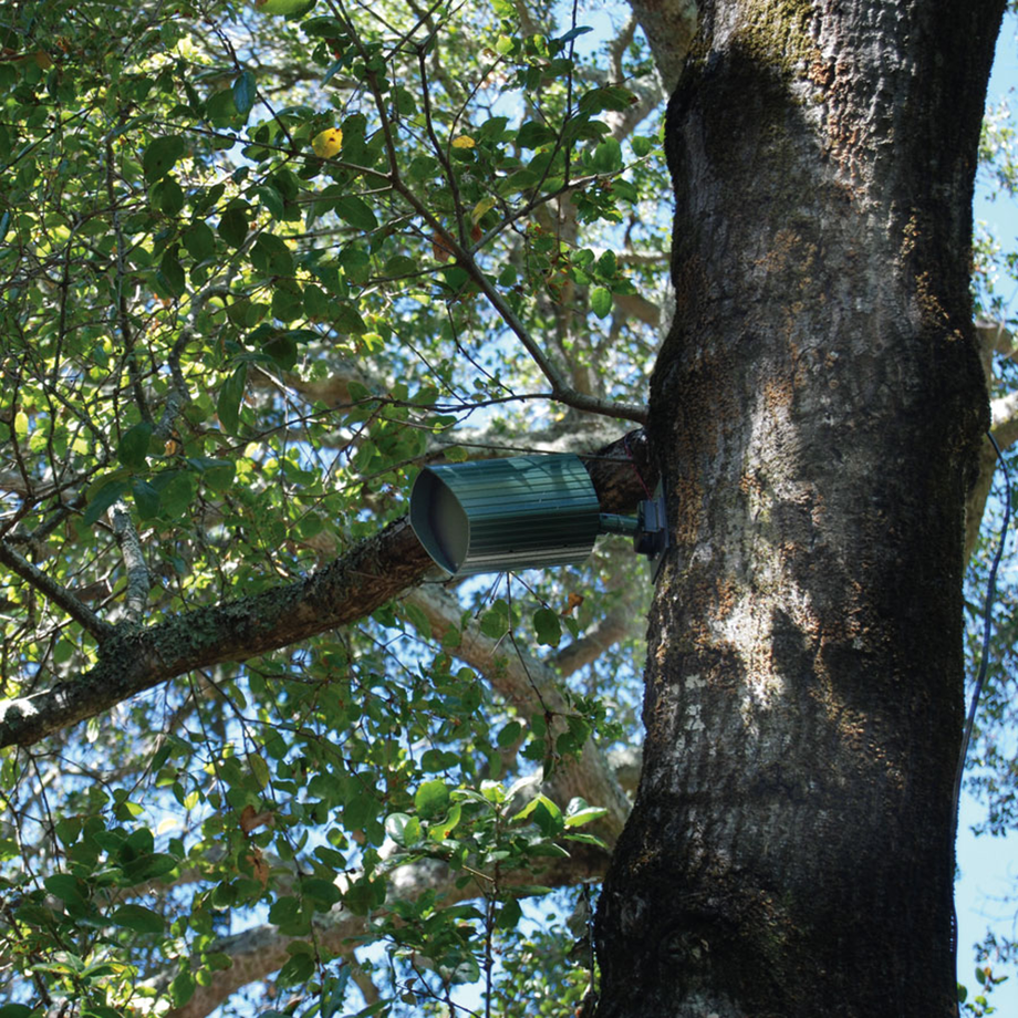AT.MOUNT | TREE/WALL MOUNT FOR AT32, AT42, AT62