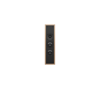 NC3_Speaker_Gold_Front_no-grille.png
