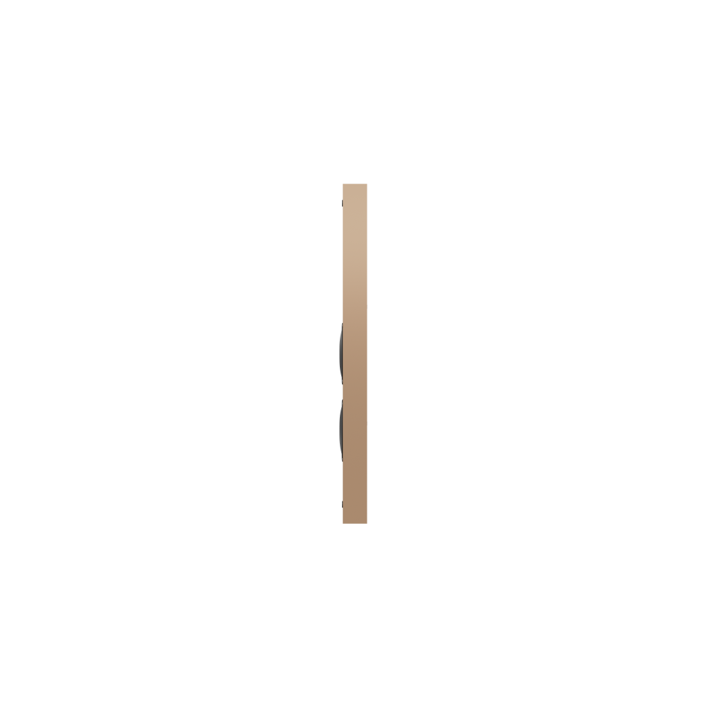 NC5QT_Speaker_Gold_Side_no-grille.png