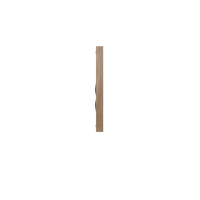 NC3_Speaker_Teak_Side.png